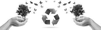 Filosofía Eco